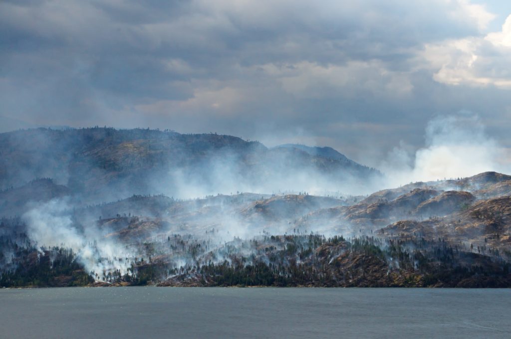 £230,000 project to study impact of peatland fires on global CO2 levels