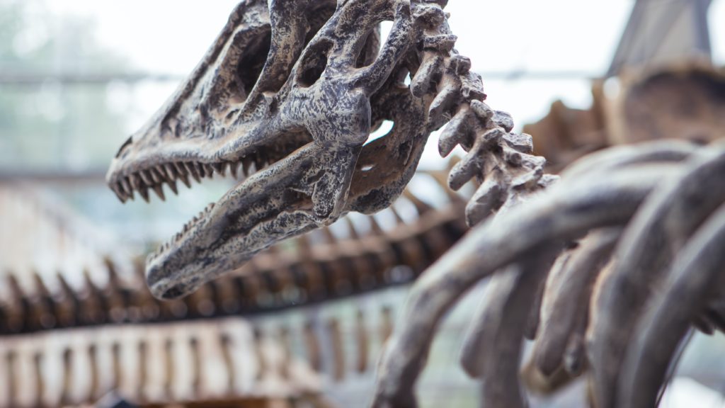 Iconic Dinosaur’s injuries come to light through Queen’s-led research