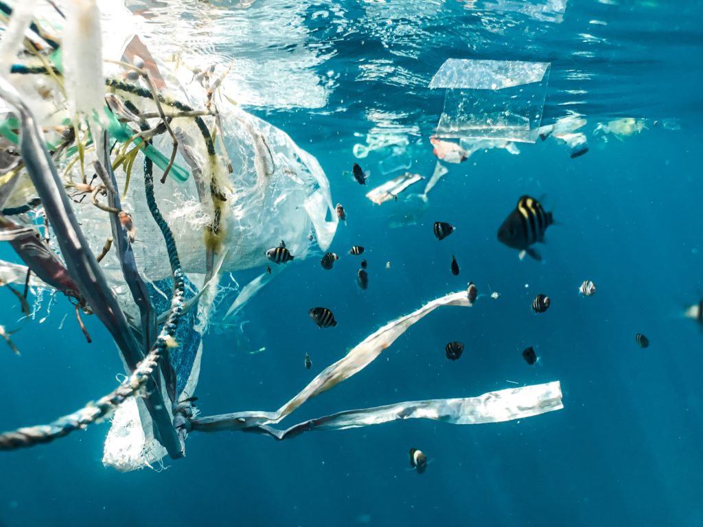 QUB and AFBI begin research into plastic pollution in the Irish Sea