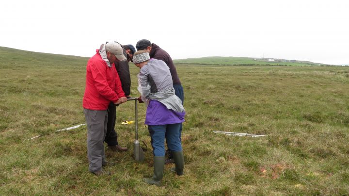 Can pollen in peat paint a picture of Neolithic Shetland?