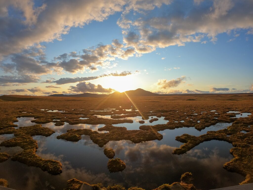 Falkland Island peatlands as a mirror to understand future European peatlands
