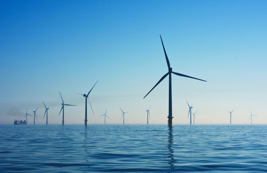 Impact of offshore wind on marine food chain to be explored