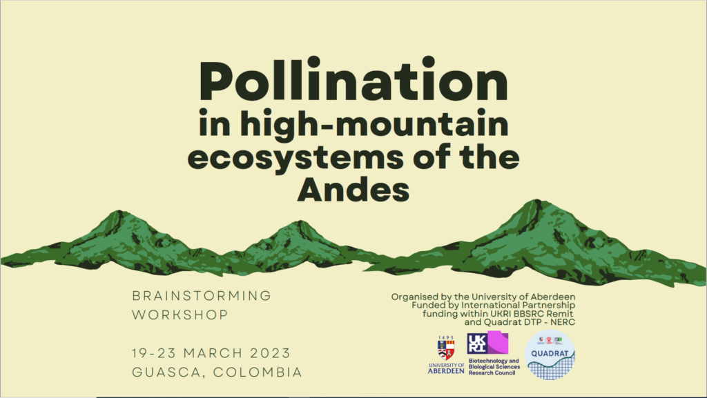 Workshop: Pollination in high-mountain ecosystems of the Andes
